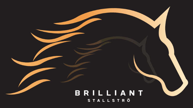 Brilliant Stallströ - kopia